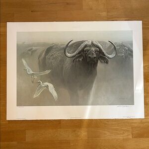 “Master of the Herd- African Buffalo” 1979 ltd Ed. 845/950 signed Robert Bateman